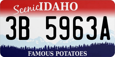 ID license plate 3B5963A