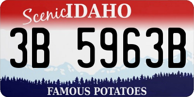 ID license plate 3B5963B
