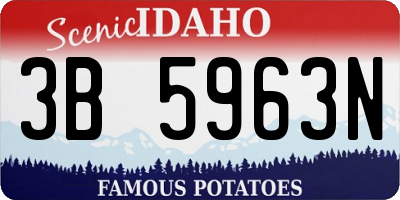 ID license plate 3B5963N
