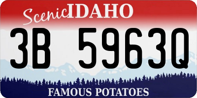 ID license plate 3B5963Q