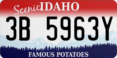 ID license plate 3B5963Y