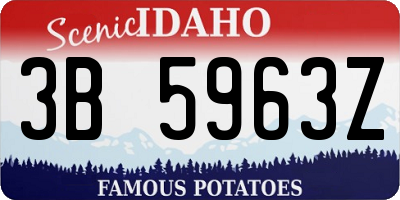 ID license plate 3B5963Z