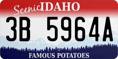 ID license plate 3B5964A