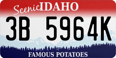 ID license plate 3B5964K