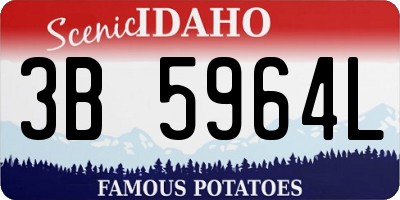 ID license plate 3B5964L
