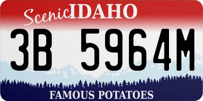 ID license plate 3B5964M
