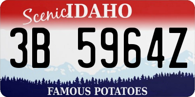 ID license plate 3B5964Z