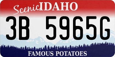 ID license plate 3B5965G