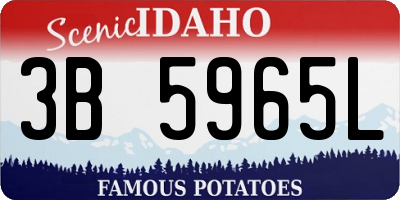 ID license plate 3B5965L