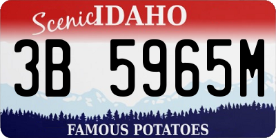 ID license plate 3B5965M