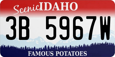 ID license plate 3B5967W