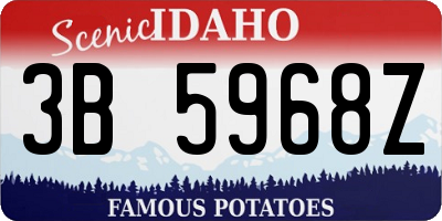 ID license plate 3B5968Z