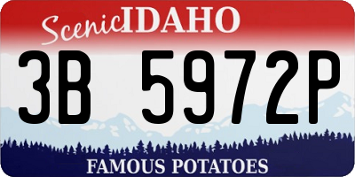 ID license plate 3B5972P