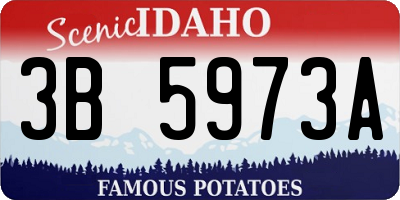 ID license plate 3B5973A