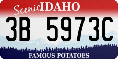 ID license plate 3B5973C