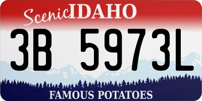 ID license plate 3B5973L