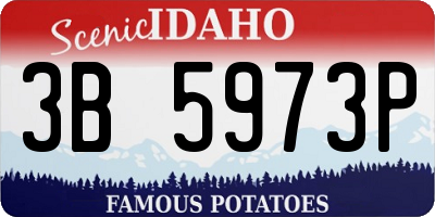ID license plate 3B5973P
