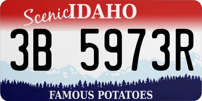 ID license plate 3B5973R