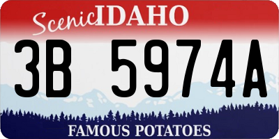 ID license plate 3B5974A