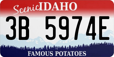 ID license plate 3B5974E