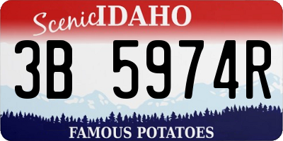 ID license plate 3B5974R