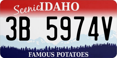 ID license plate 3B5974V