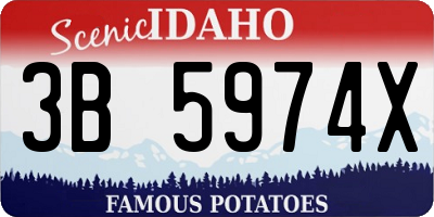 ID license plate 3B5974X