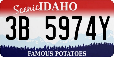 ID license plate 3B5974Y