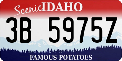 ID license plate 3B5975Z