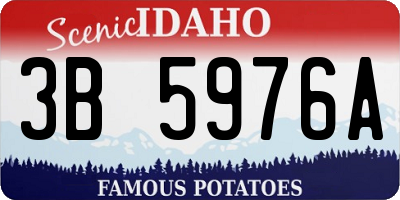 ID license plate 3B5976A