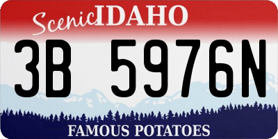 ID license plate 3B5976N