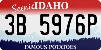 ID license plate 3B5976P