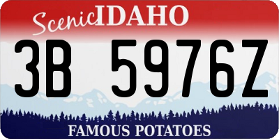 ID license plate 3B5976Z