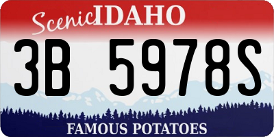 ID license plate 3B5978S