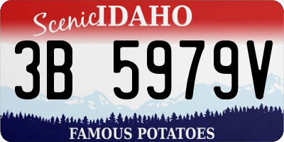 ID license plate 3B5979V