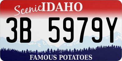ID license plate 3B5979Y