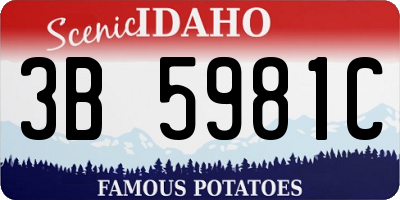 ID license plate 3B5981C