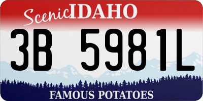 ID license plate 3B5981L