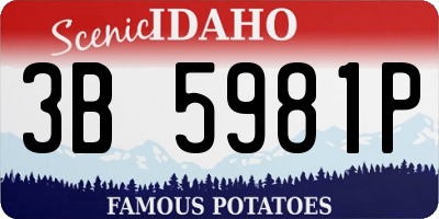 ID license plate 3B5981P