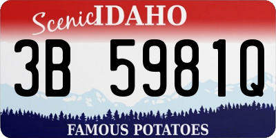 ID license plate 3B5981Q