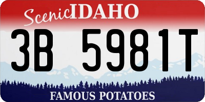 ID license plate 3B5981T