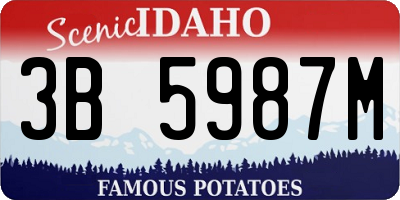 ID license plate 3B5987M