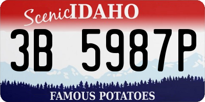 ID license plate 3B5987P