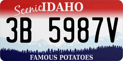 ID license plate 3B5987V