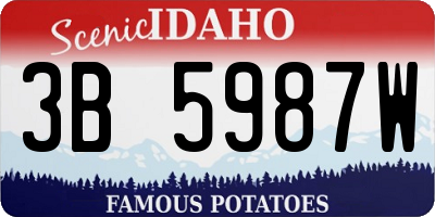 ID license plate 3B5987W