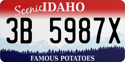 ID license plate 3B5987X