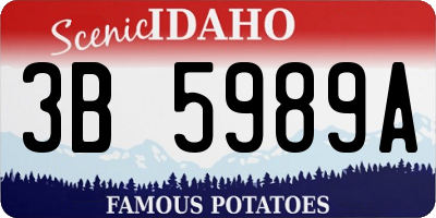 ID license plate 3B5989A