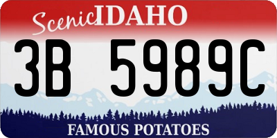 ID license plate 3B5989C