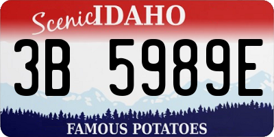 ID license plate 3B5989E