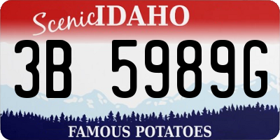 ID license plate 3B5989G